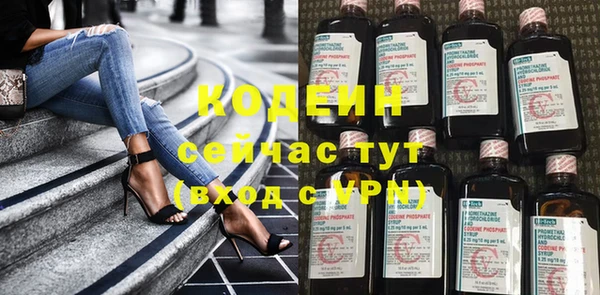 хмурый Корсаков