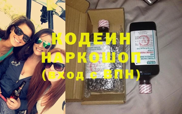 хмурый Корсаков