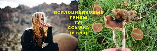 ГАЛЛЮЦИНОГЕННЫЕ ГРИБЫ Красноперекопск
