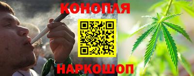 сатива Аргун