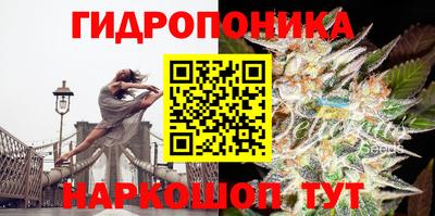 шишки Абинск