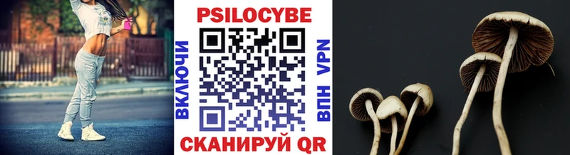 купить наркотики цена  Армавир  Псилоцибиновые грибы GOLDEN TEACHER 