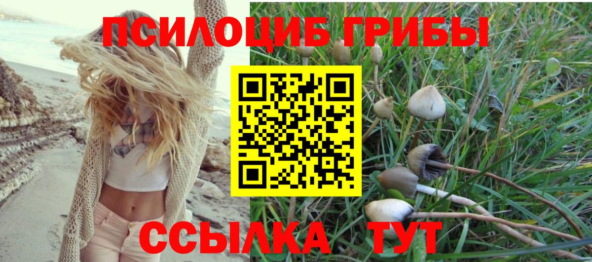 Псилоцибиновые грибы Cubensis Армавир