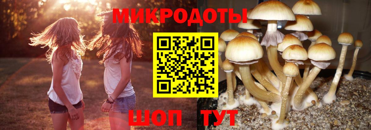 Псилоцибиновые грибы Cubensis  Вход с VPN  где можно купить наркотик  Галлюциногенные грибы мухоморы  Армавир 