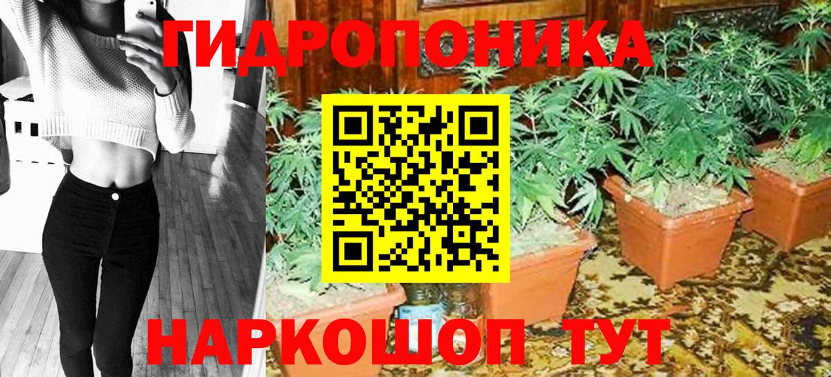 Бошки марихуана планчик  Бошки Шишки LSD WEED  Армавир  Бошки Шишки марихуана  Канабис индика 